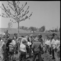 Queen Elizabeth II School Tree Planting